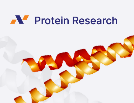 Protein Research